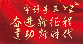 审计青年：奋进新征程   建功新时代